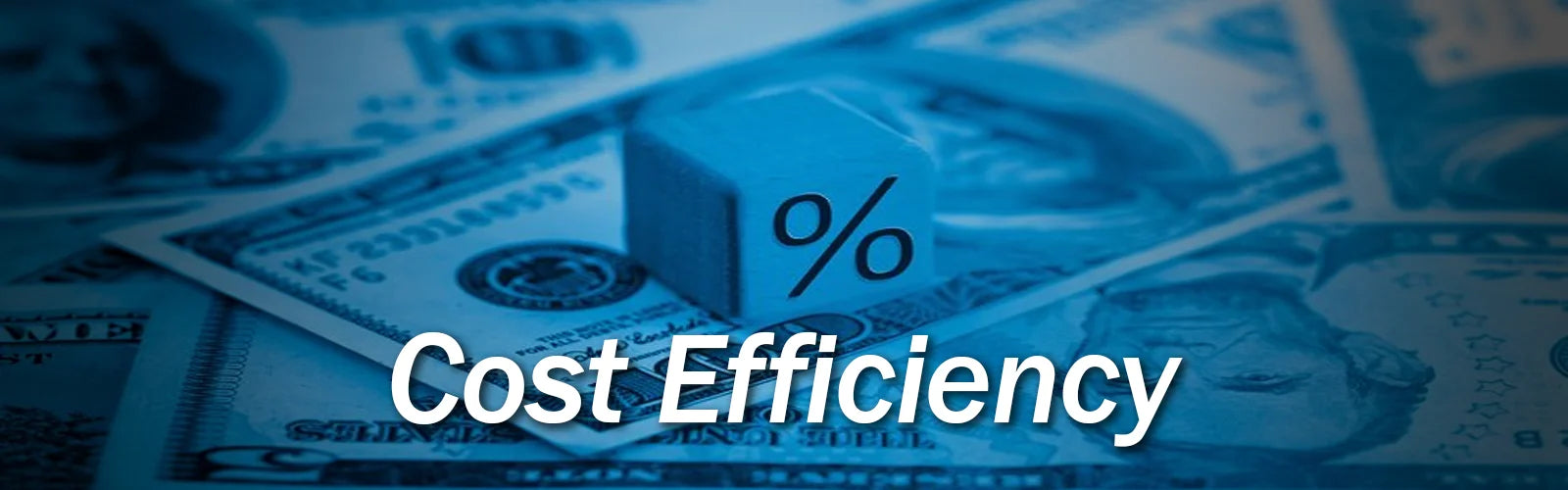 Cost Efficiency