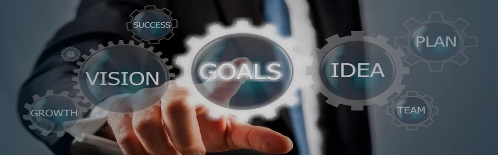 Adaptable Strategies